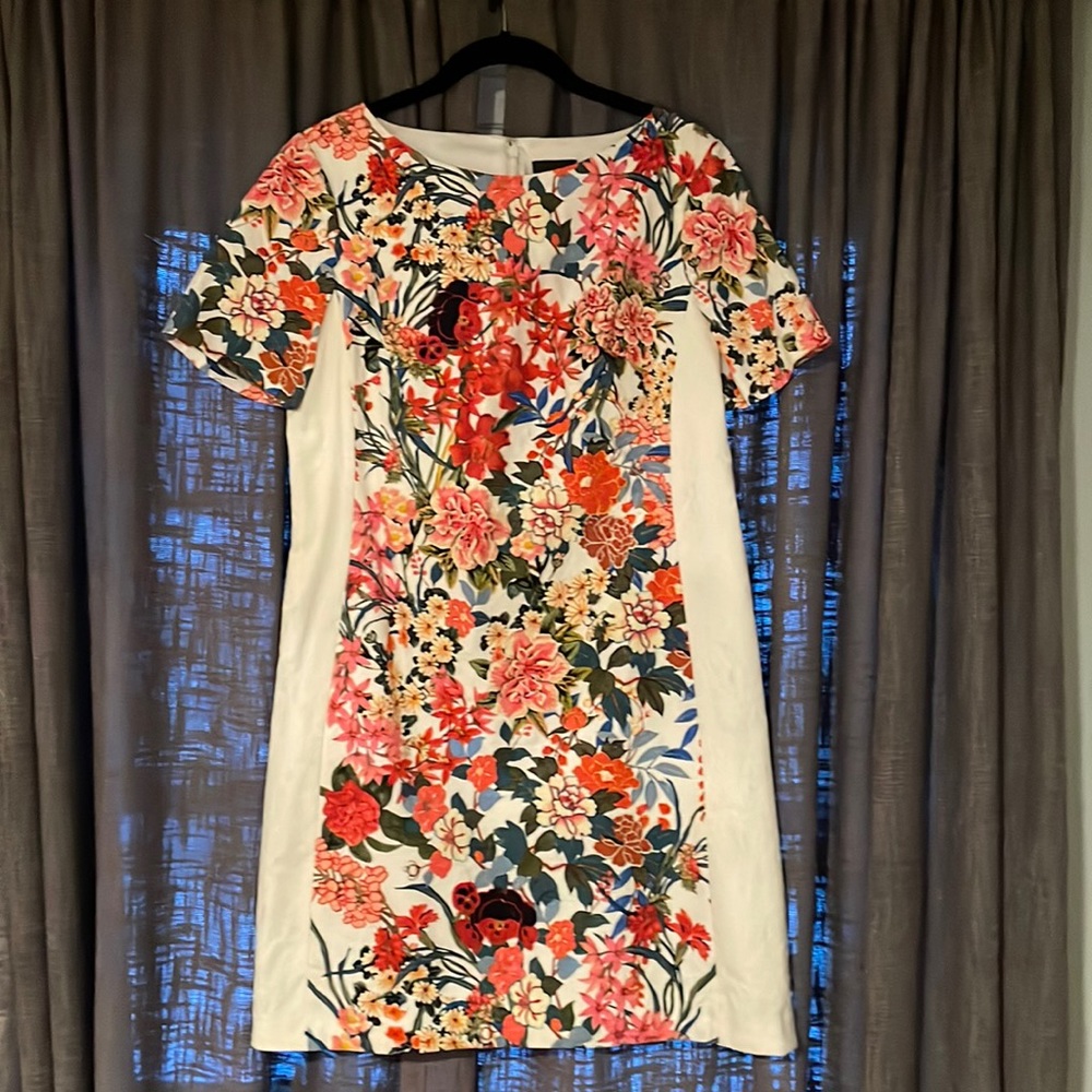 Adrianna Papell Dress 12p